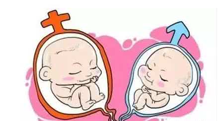人工孕妈代怀咨询联系电话